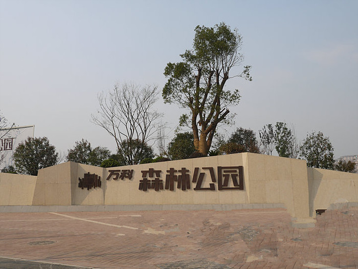 電表用於合肥萬科森林公園